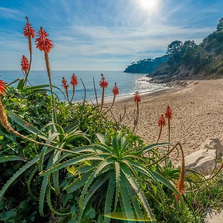 Vista Piscina Vistas Mar Barbacoa Aire Acondicionado Villa