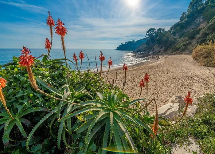 Vista Piscina Vistas Mar Barbacoa Aire Acondicionado Villa